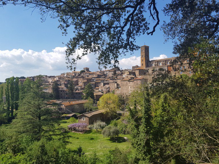 Viaggiatricecuriosa tweet media