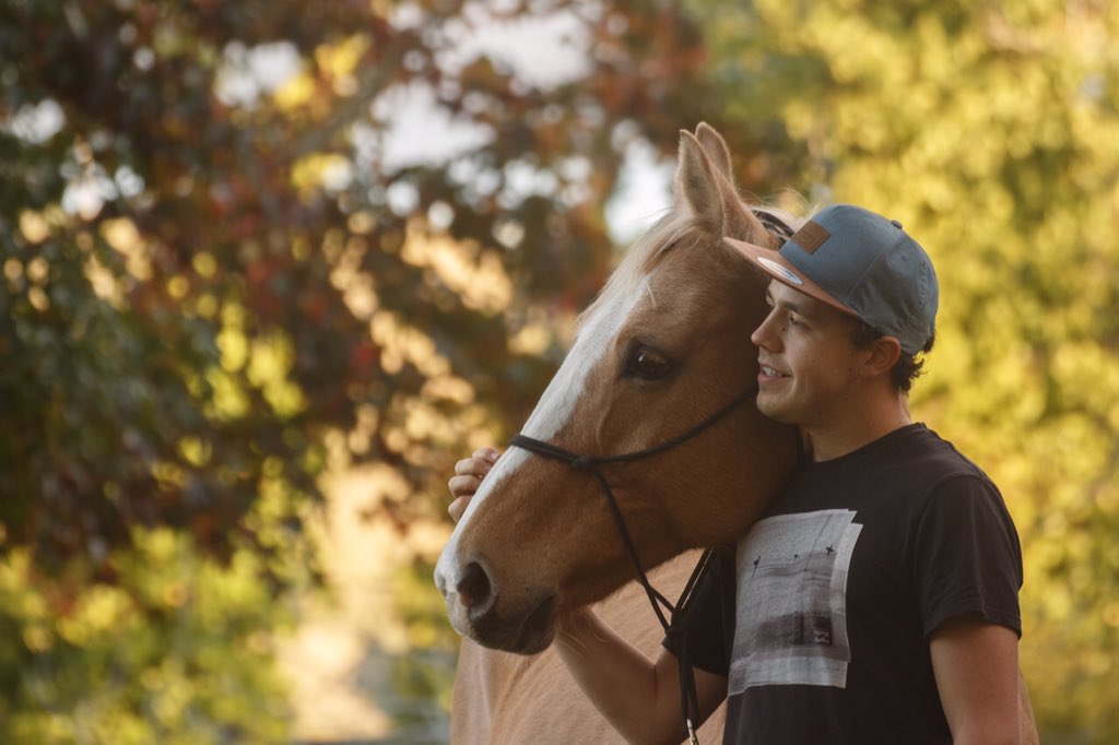 Outdoornomaden's tweet photo. Wir hatten heute wieder eine tolle Zeit mit den Pferden! Dabei kamen ein paar ganz gute Bilder raus! #pferdefotografie #tierfotografie #pferde #pferdefoto #horsephotography https://t.co/aqPnrLSKDQ