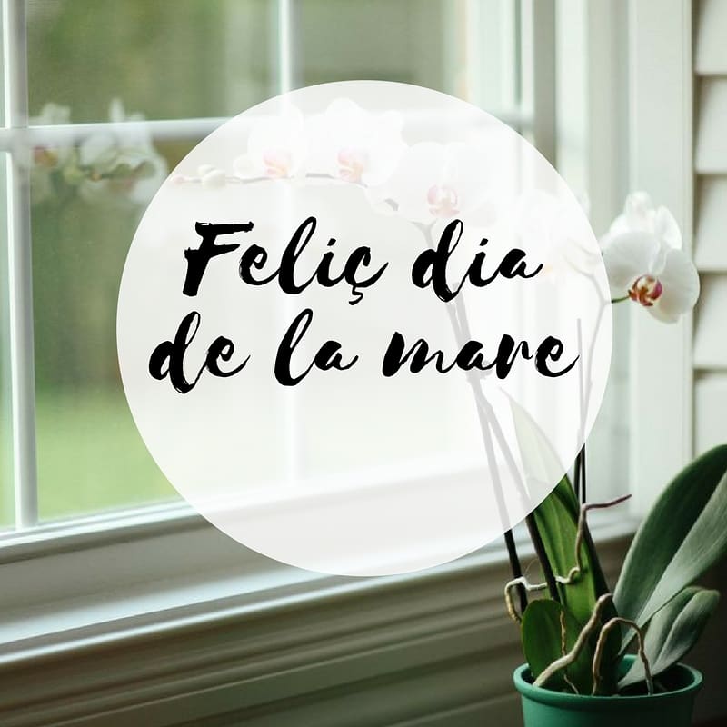 aluministomas's tweet photo. Avui us dediquem aquest dia, però vosaltres ens dediqueu cada dia de la vostra vida♥

Visca la mare que ens va parir!!!🔝

#diadelamare #6demaig #mare #mothersday #mollerussa #lleida #pladurgell #aluminis #aluministomàs https://t.co/P2CFYQX4lW