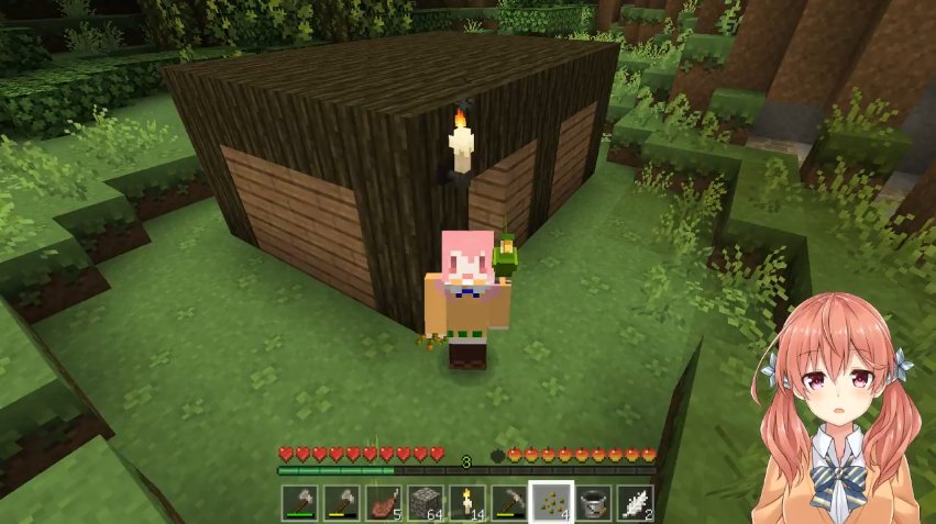 上白えぬ 緑オリオン草