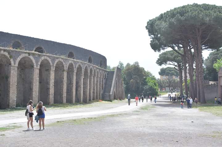 pompeii_sites's tweet photo. Oggi è #DomenicalMuseo. L'ingresso ai siti archeologici di Pompei, Stabia, Oplonti e Boscoreale è gratuito. Buona visita! https://t.co/NE0xbaLwDB