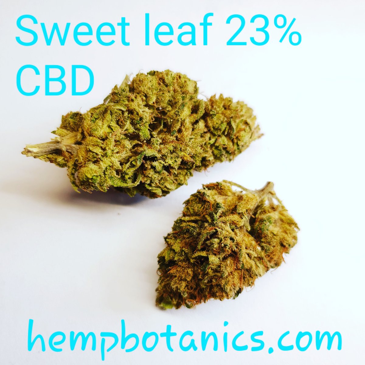 HempBotanicsUK's tweet photo. ๐๐ฌ๐งSALE ON NOW๐ฌ๐ง๐
Online and in our London shop
297 Portobello Road โ๏ธ
https://t.co/ng3VPntiOY
#feedyourecs #buysafe #labtested #ukcbd #cbd #hemp #tea #extract #rosin #uk #london #portobelloroad https://t.co/Gz4mCEfWEZ
