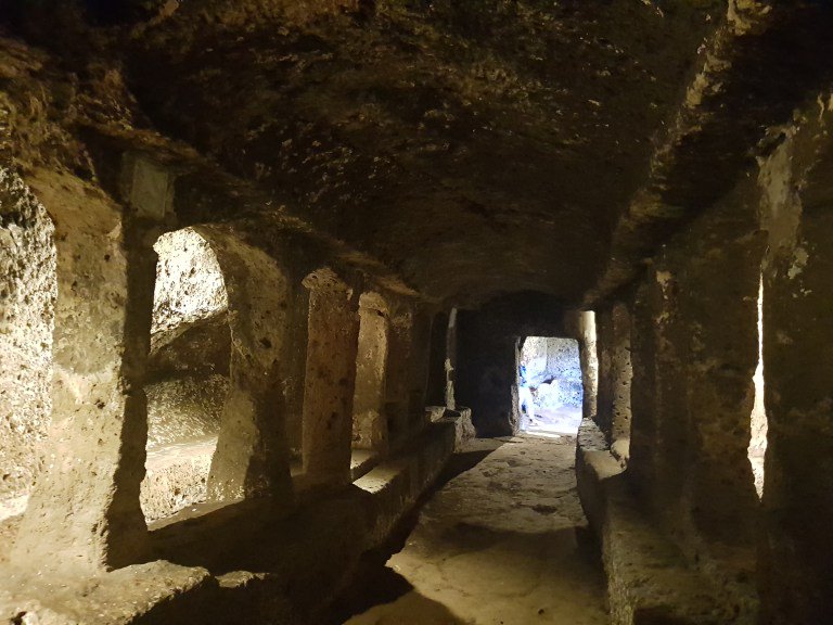Viaggiatricecuriosa tweet media