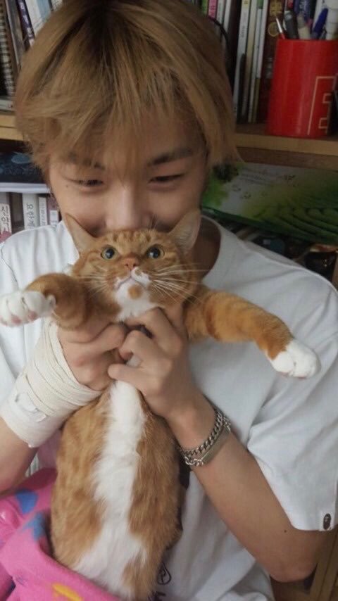 Brag about your cats! (Ivy club interview)“Rooney is a korean shorthair cat but her fur is really long so she is so fluffy and that’s her charming point”Probably the boss at home after mama kang. Daniel’s fav daughter.