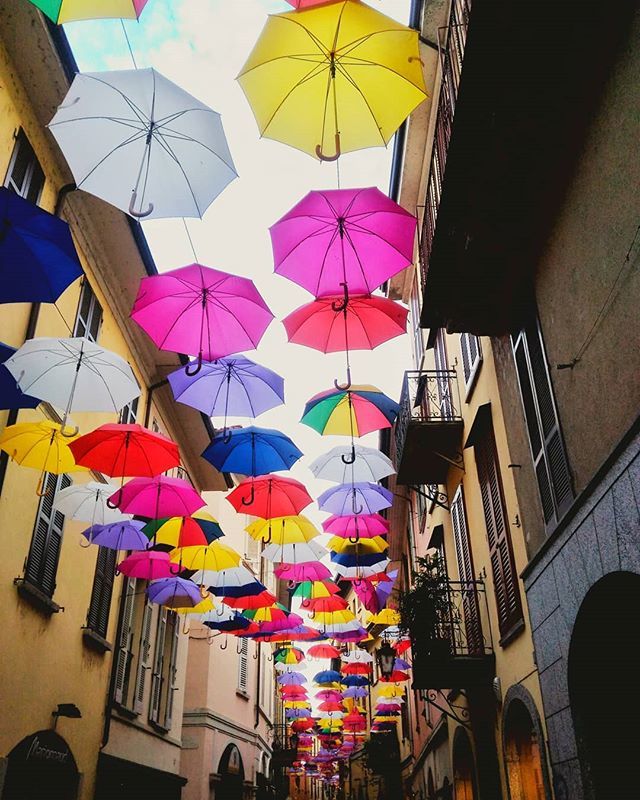 Metti che piove...
.
.
#arona #lagomaggiore  #igersnovara #igerspiemonte #igersitalia #volgonovara #volgopiemonte #yallerspiemonte #ilgermogliodelticino #crpiemonte #alluring_novara  #thehub_piemonte #yallersitalia #solopostibrutti #yallerseurope #piedmo… ift.tt/2FO4S4j