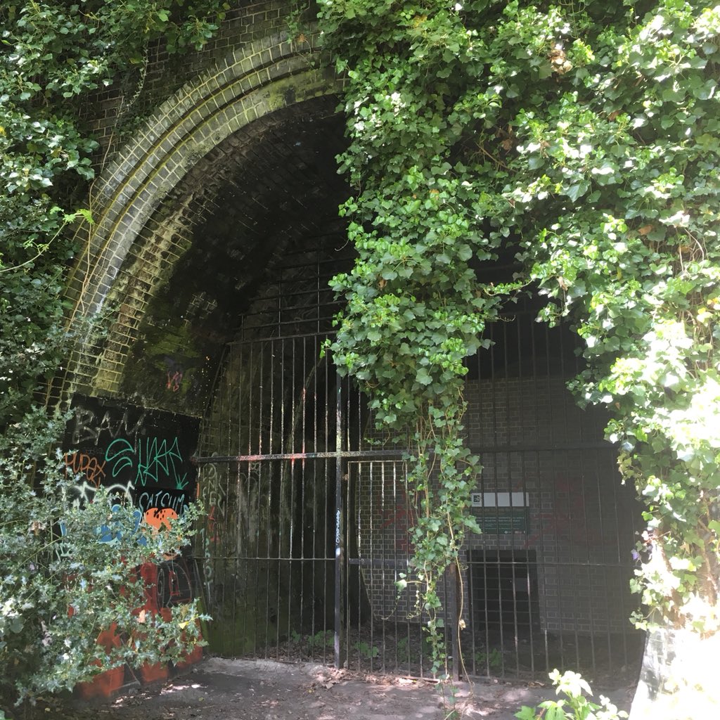 SteveVFX's tweet photo. To the Batcave! Really it’s an old railway tunnel, but still, “To the Bat Tunnel!” doesn’t sound as good does it? #bats #underground #london #northlondon #railway #derelict #resused #wildlife #conservation https://t.co/tJXJCDYpQd