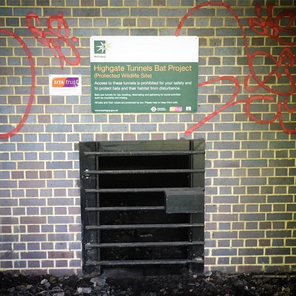SteveVFX's tweet photo. To the Batcave! Really it’s an old railway tunnel, but still, “To the Bat Tunnel!” doesn’t sound as good does it? #bats #underground #london #northlondon #railway #derelict #resused #wildlife #conservation https://t.co/tJXJCDYpQd