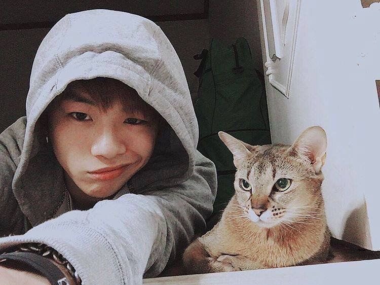 And!!!! Last but not the least!!! This guy!!!! The famous one but y’all didn’t even know it’s name???The cat on Daniel’s viral cat video that some people still don’t know the identity bsjdnjd it’s not Rooney/Peter.