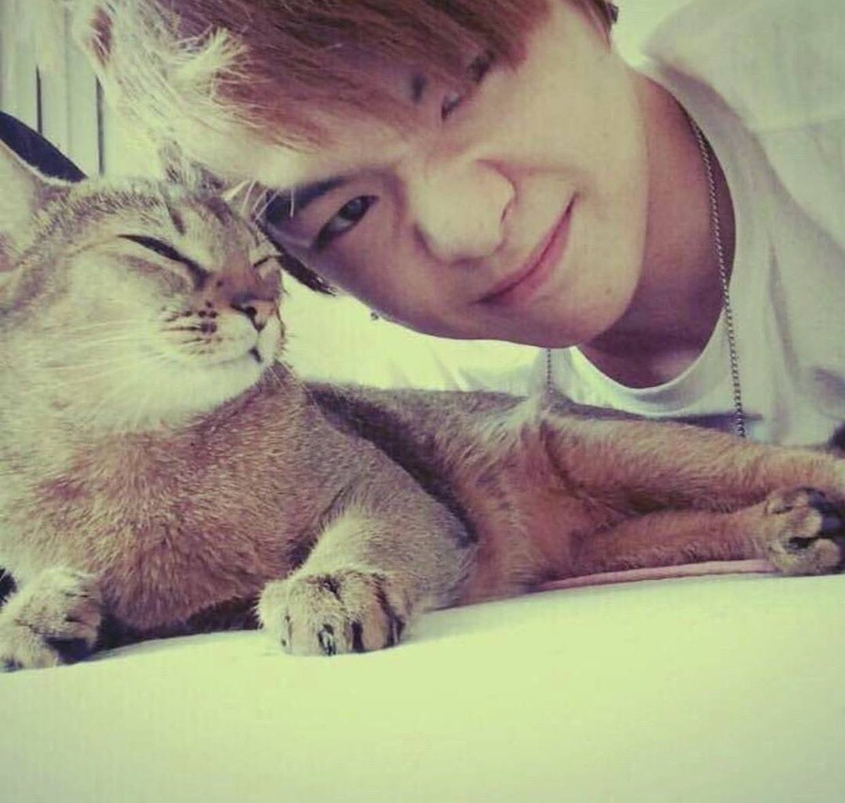 And!!!! Last but not the least!!! This guy!!!! The famous one but y’all didn’t even know it’s name???The cat on Daniel’s viral cat video that some people still don’t know the identity bsjdnjd it’s not Rooney/Peter.