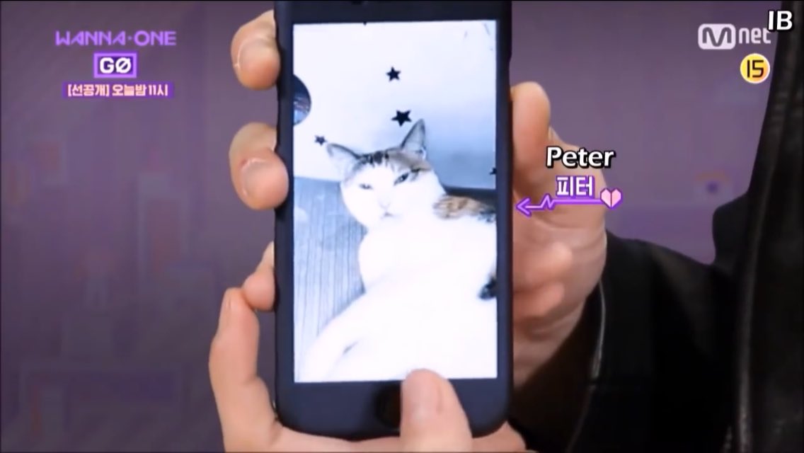 Ok lastly, if anyone have peter pics please share it here. Thankyou for coming to my cattalk.Upload this @ Kang Daniel