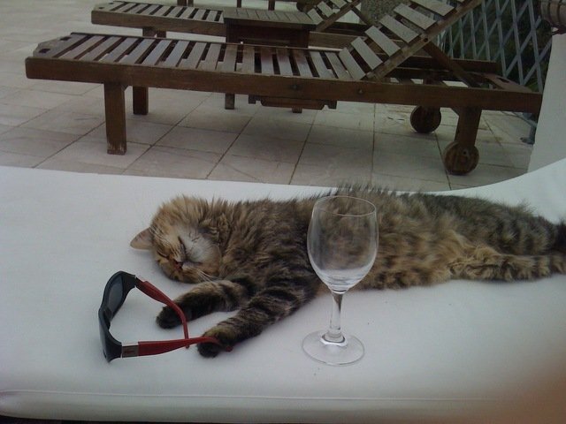 TreasuryMog's tweet photo. My #SundayMorning Same again this afternoon 🕶 https://t.co/hOvAKcEPQq