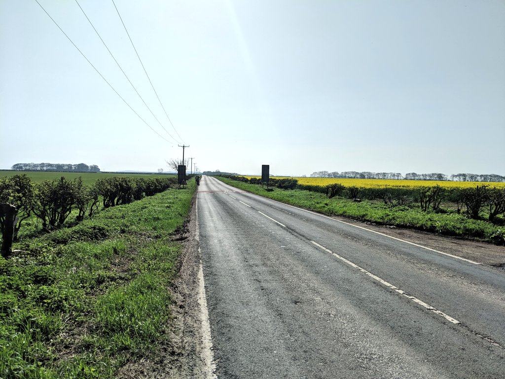Yorkshire Wolds tweet media