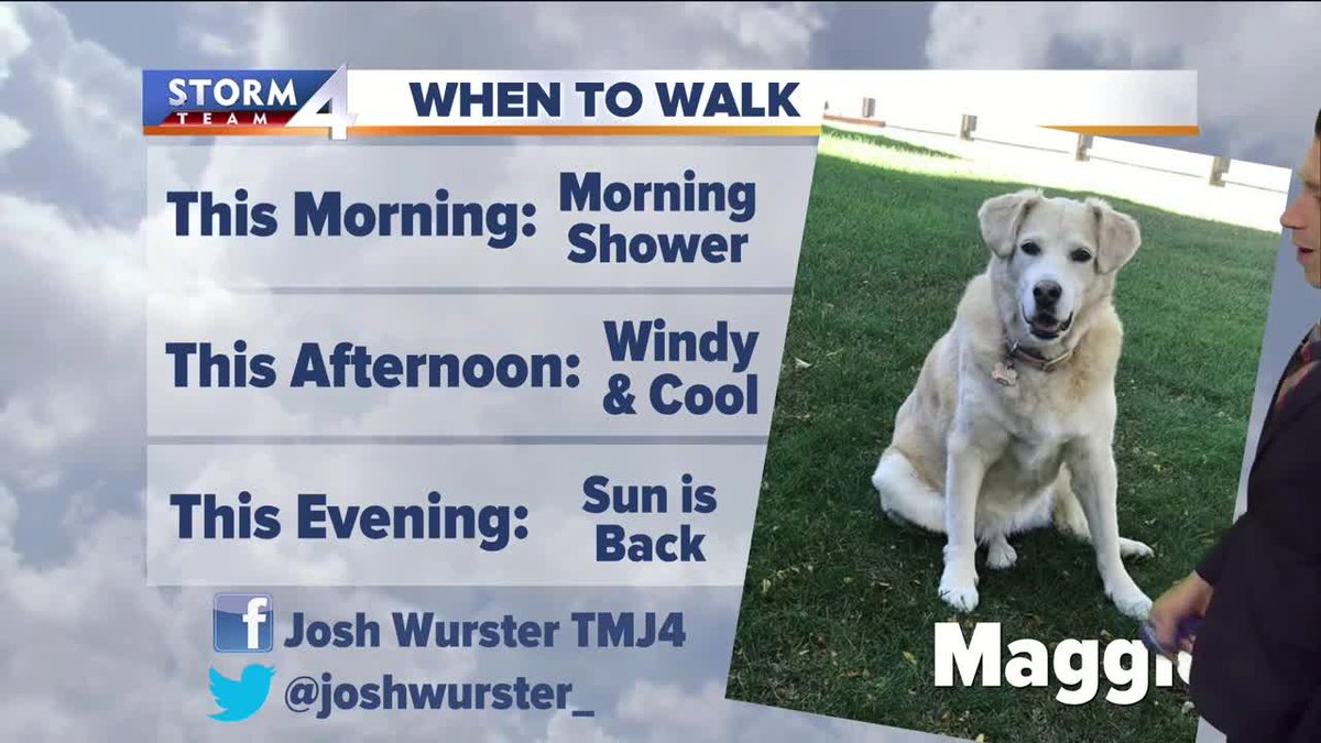 JuliaFello's tweet photo. Maggie is your #WhenToWalk dog this Sunday morning. @joshwurster_ says the best time for a long walk is this evening. https://t.co/vytu6jYeoO