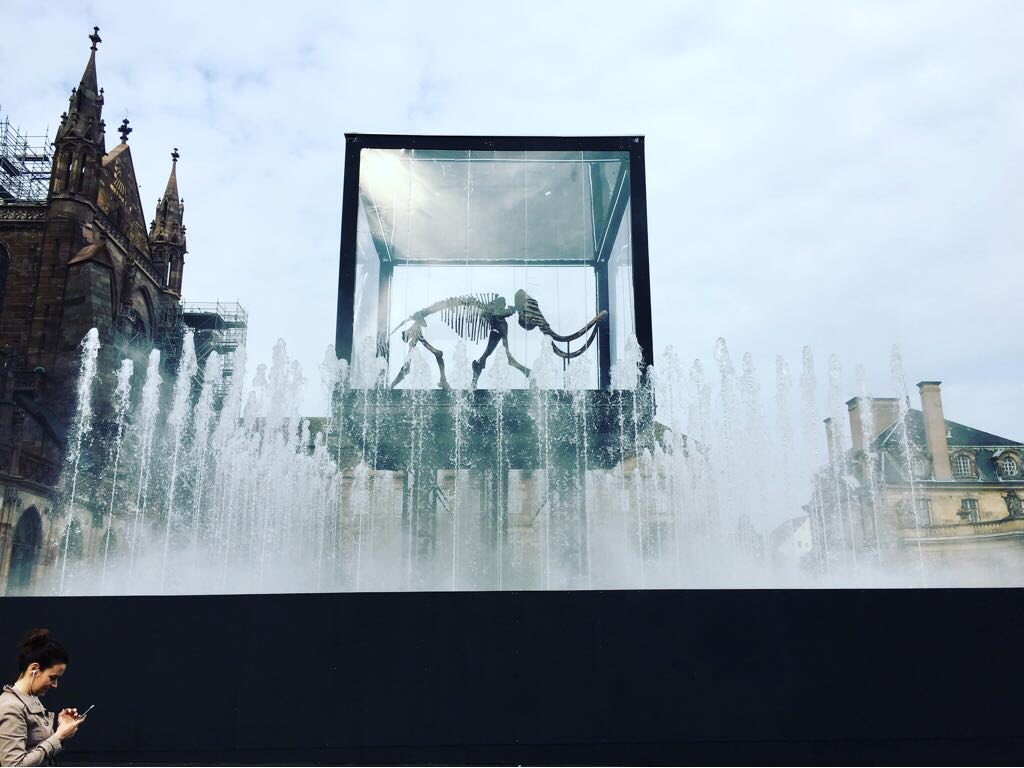 DanielePreziosi's tweet image. Miracle!!! Here @strasbourg we rewrite the New Testament: #mammut walking on the water #newmessiah