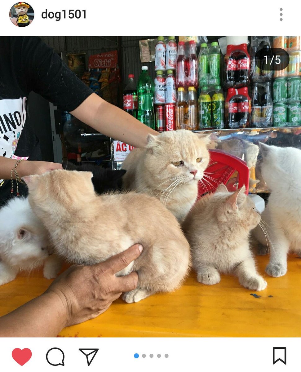 magicbelle__'s tweet photo. หน้าน้องไม่อยากเลี้ยงลูกมากๆ https://t.co/JsbpZahHgf