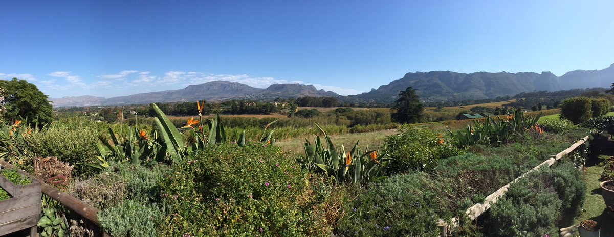 #TheTerrace@CahrtFarm for afternoon scones.