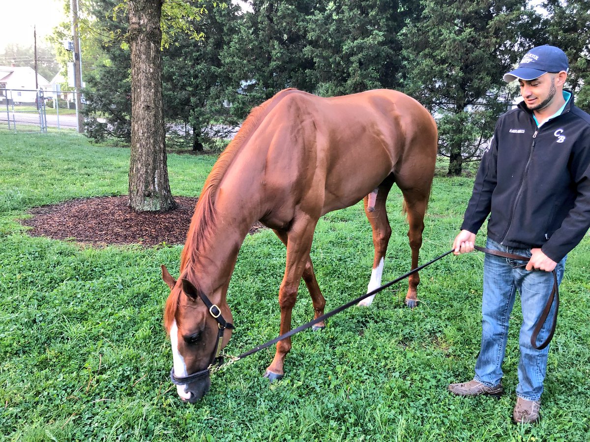The morning after, GOOD MAGIC came out of the Kentucky Derby in good shape &amp; next race still undecided, but the Brown barn &amp; owners will discuss the <a href="/PreaknessStakes/">Preakness Stakes</a> 

I told him, “You’re still the champ, GOOD MAGIC!”