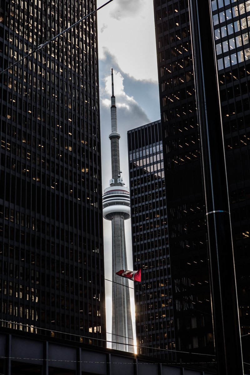 doublevision_s's tweet photo. Get your #hustle on #Toronto - #MondayCometh https://t.co/4rgA05ho3V