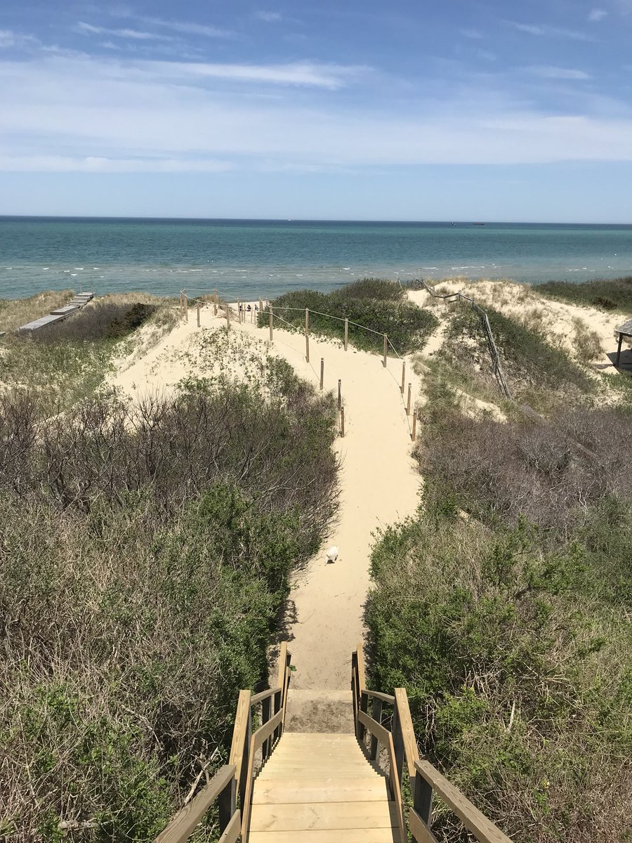 SreidACK's tweet photo. Beautiful May Day #stepsbeach #nantucket #ack #walkingwithmylove https://t.co/ev0KYWsJge