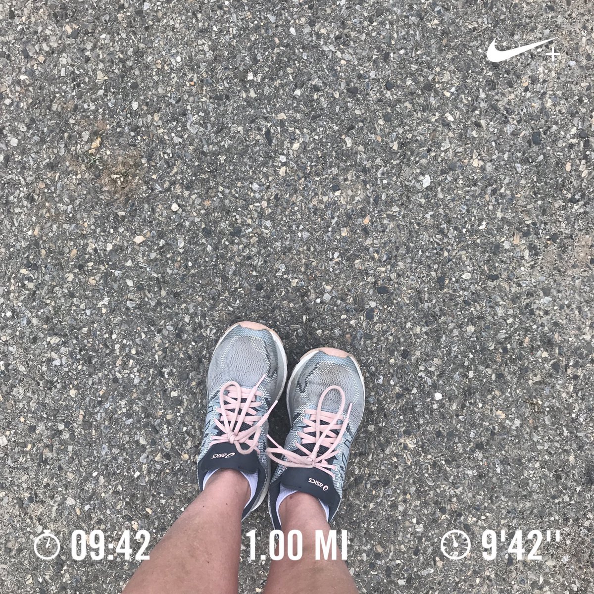 Nice tempo run at the dog show!