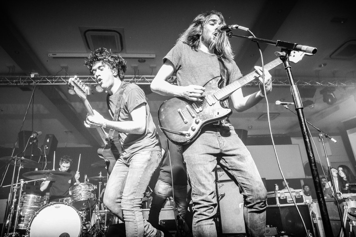 Pulled Apart By Horses tweet media