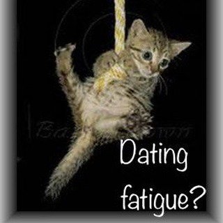 Zoog_io's tweet image. Zoog your options before you invest the energy. #efficientdating #onlinedating #datesmart #dating #ZoogLove #love #fatigue #EndOfRope #onlinedatingsucks #single #datinghumor #cat #onlinedatingproblems #datingmemes #lovelife #datinglife 📷: @zoog.io
