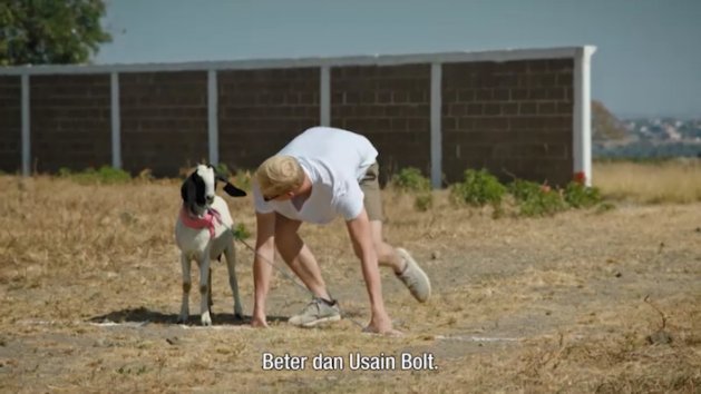 BrechtConinx's tweet image. De laatste rechte lijn richting finale van #demol! Vanavond kennen we de 3 finalisten voor volgende week ;) #spanneeeenddd #demol