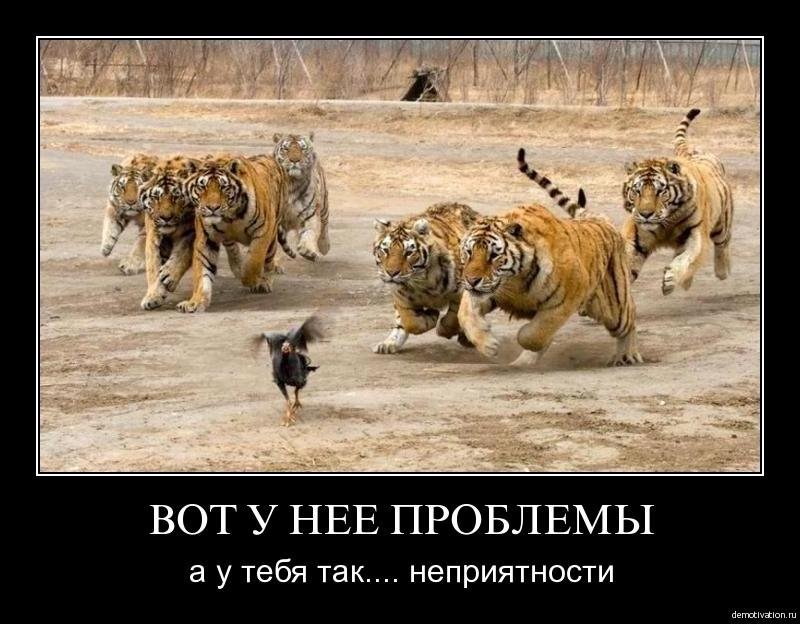 Проблемы прикольные картинки