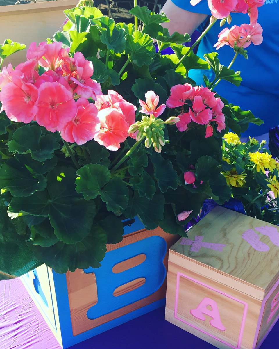 MsLeighaB's tweet photo. I walk for KJ, RM & all the babies💕👼🏽💙👶🏽 #MarchOfDimes #walkforbabies #babyangels #healthybabies #MarchForBabies #flowerfanatic #GROWINGhealthybabies #CenterPointEnergy https://t.co/EN3vTfi6xy