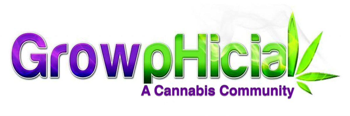 DrGreenbeard's tweet photo. Lots of corrections and changes taking place to get this platform ready for beta launch...
Here is the updated header image for the premier online cannabis community. https://t.co/lGIXFuvWgM