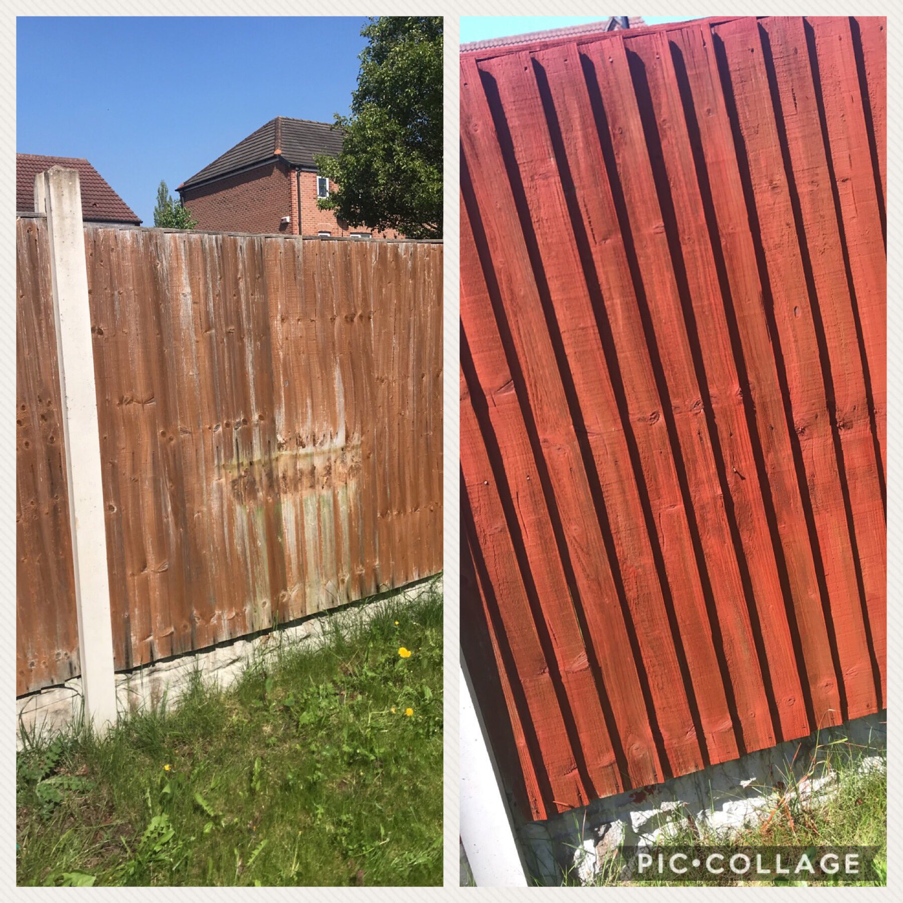Red cedar 2024 fence paint
