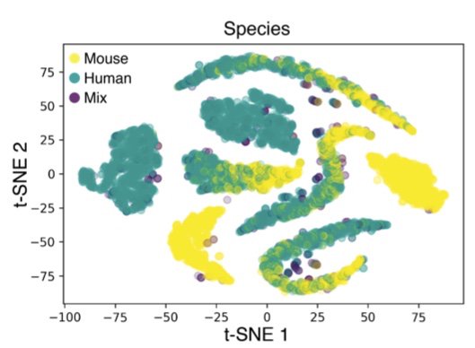 Lior Pachter tweet media