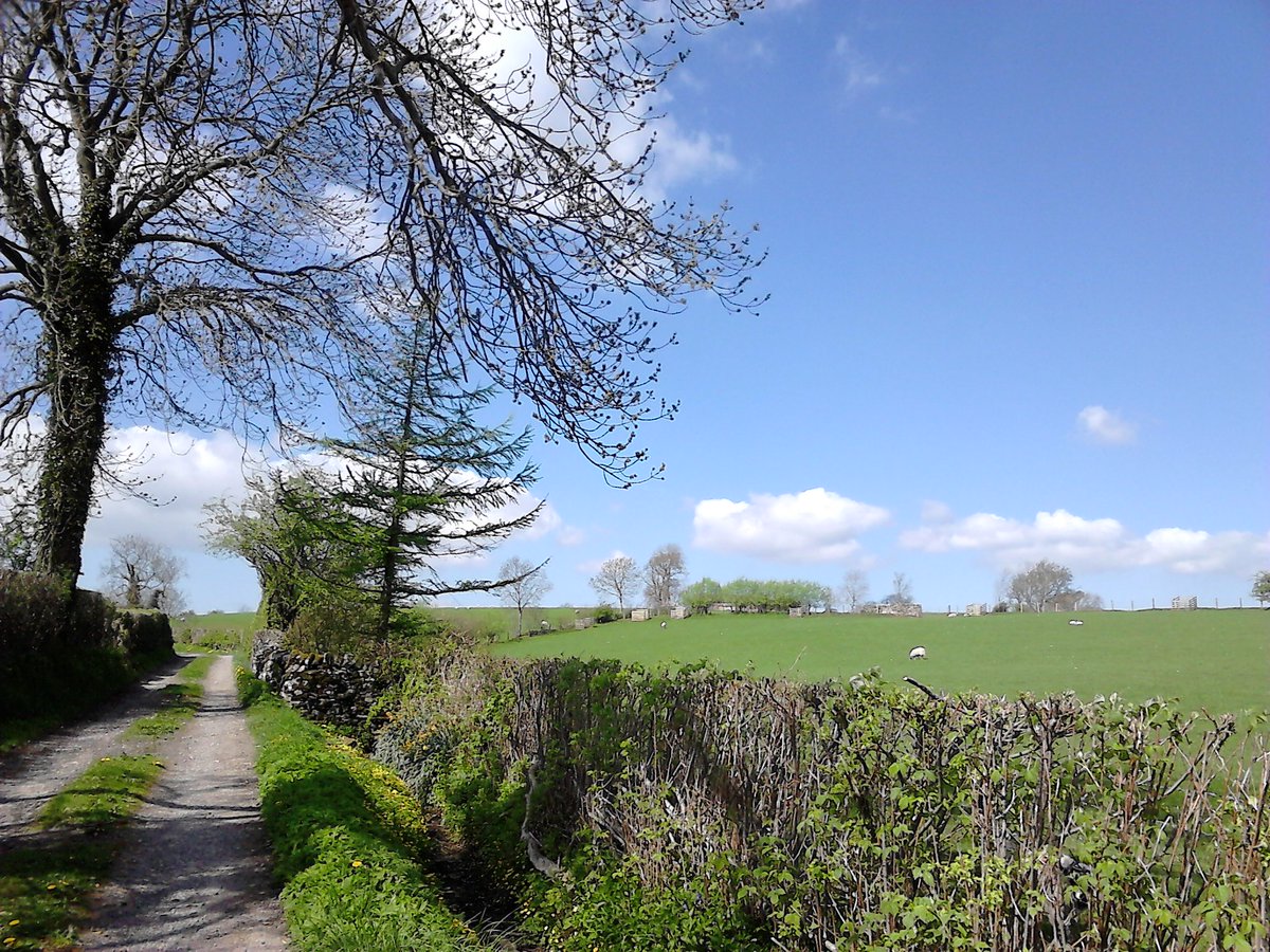 Kirkby Stephen & Upper Eden Visitor Centre tweet media