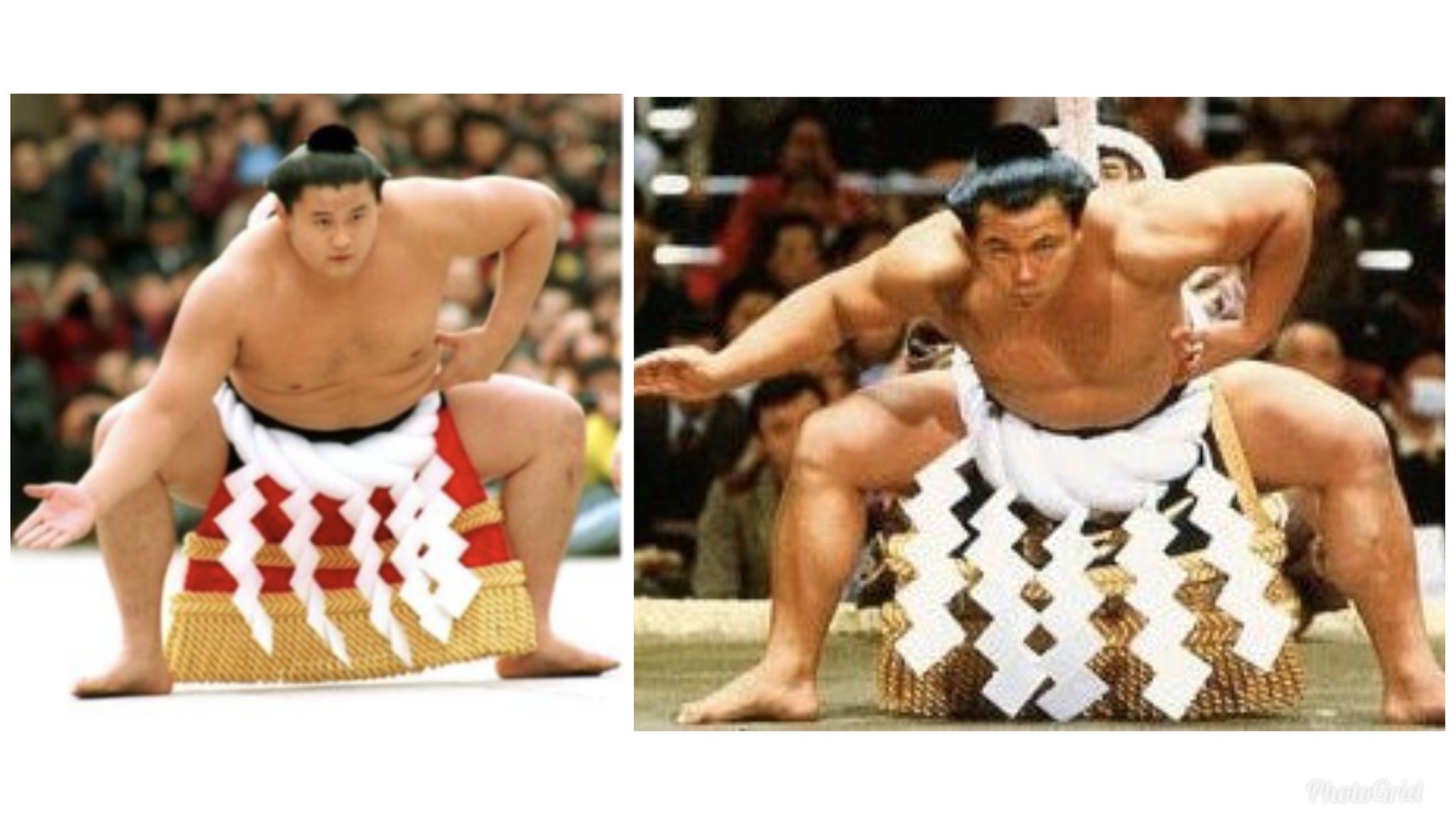 𝘮 𝘰𝘤𝘰 昭和最後の大横綱と平成の大横綱 後に一代年寄にもなられた二人の名横綱は その強さだけでなく 土俵入りでの型の美しさ 力士としての体つきの美しさからも 力士の頂点に相応しい品と格が感じられますね ほんとに素晴らしい 貴乃花親方