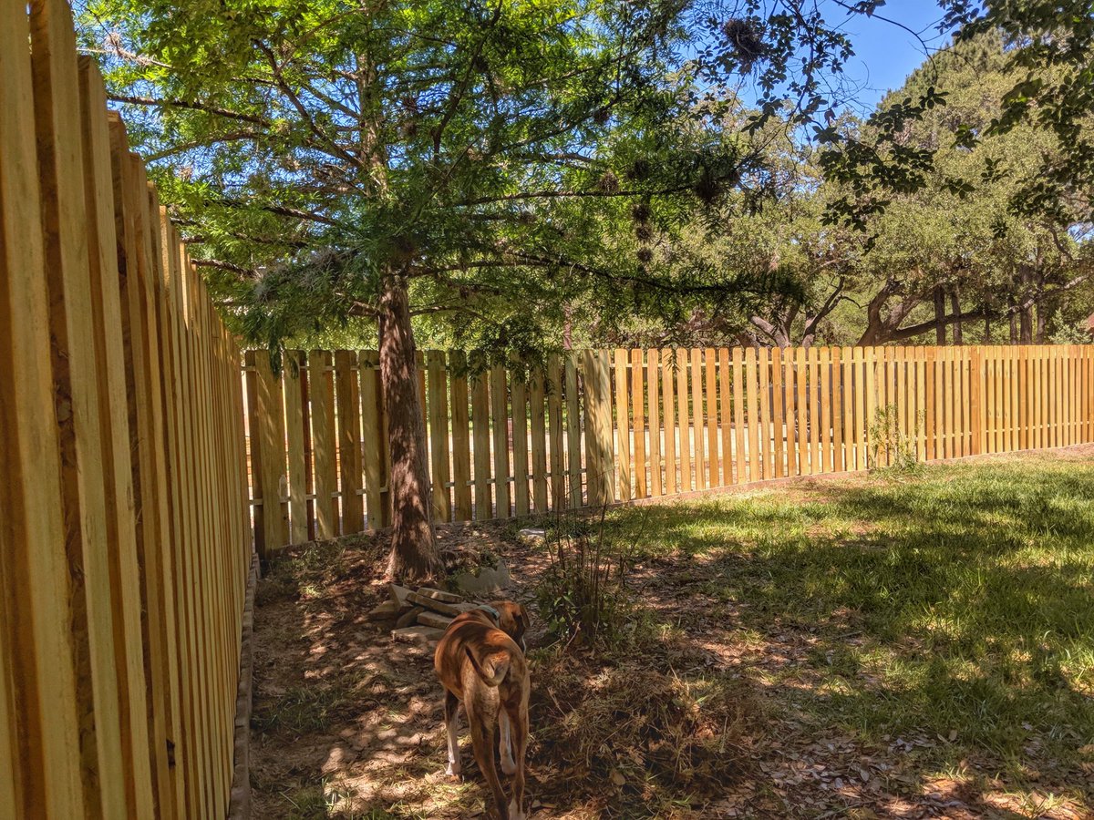 MrsParker322's tweet photo. Fence Progress #shadowboxfence #privacyfencecompany #floresville #lavernia #adkins Company: Do It For My Kids - Jeremy Macek https://t.co/0DJiQNriv7