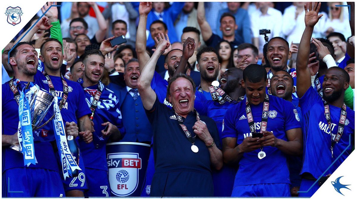 WE ARE PREMIER LEAGUE #Bluebirds #CityAsOne
