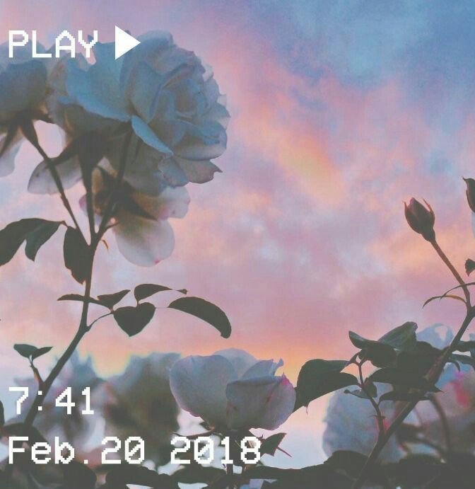 Gallerry1's tweet photo. Pinkkkkkk💗💕

#วอลเปเปอร์ #วอลเปเปอร์มือถือ #วอลไอโฟน #วอลสีชมพู #wallpapers #สีชมพู https://t.co/OemQqy8Nyc
