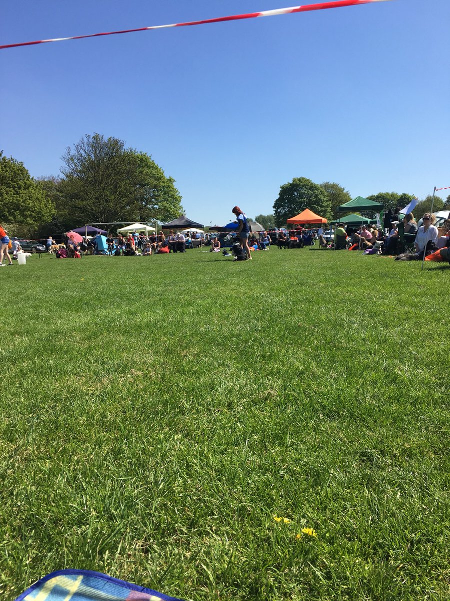 RDZ_photo's tweet photo. Lovely day for #greyhoundgap ‘s fun dog show #dogrescue #RESCUE #Greyhounds #Walsall #arboretum https://t.co/R4PGO9hFx3
