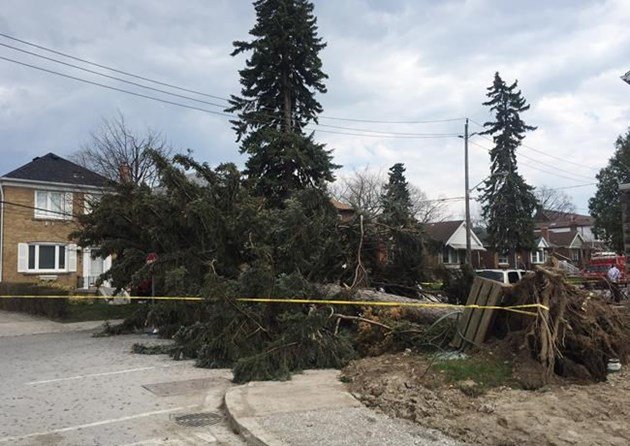 Hundreds of thousands without power following disastrous wind storm.  ottawamatters.com/national-news/… https://t.co/iHk4x9QQqQ