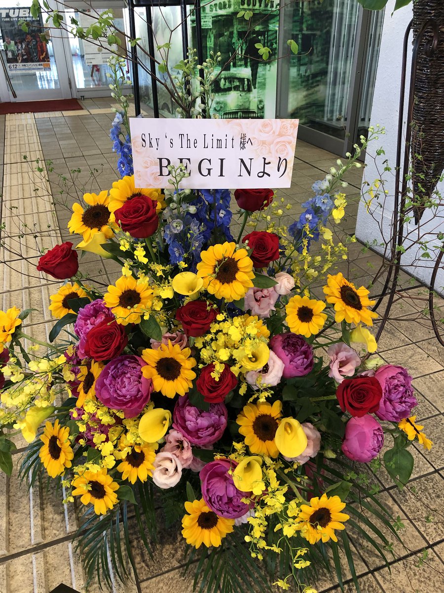 SkysTheLimit098's tweet photo. BEGINさんからも素敵なお花が届いておりました！
ありがとうございます☆

#BEGIN #スカリミ #S4Y
#沖縄 #ファイナル https://t.co/1EX9Ys5mQG