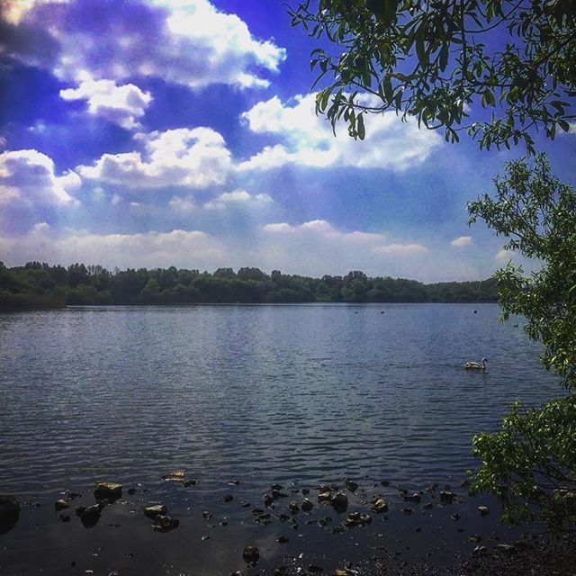 Cskoyles's tweet photo. Bank Holiday adventures ππ΄πΌββοΈπ΄πΌββοΈ
...
...
...
#viewfrommyhandlebars #outdoors #cycling #cyclinglife #cyclingsights #mountainbiking #freshair #freshairtherapy #nature #view #scenery #beautifulday https://t.co/VXY9c23iDf https://t.co/8Uk6GbTYaX