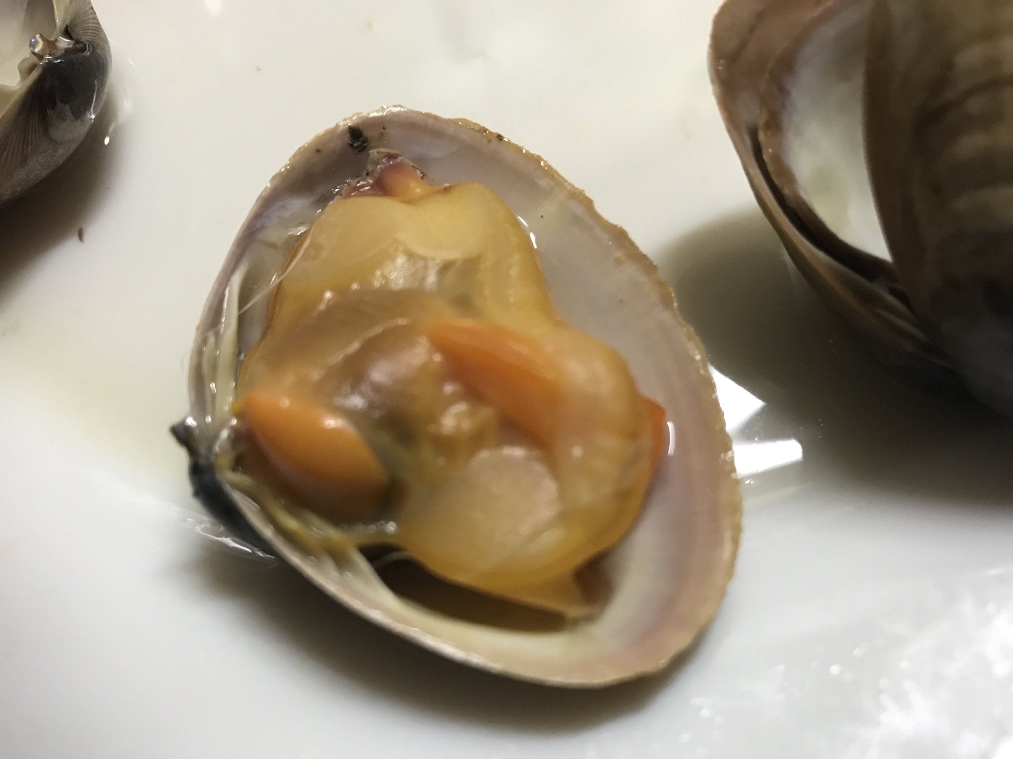 山内朋樹 Tomoki Yamauchi 料理人の方から青柳貝 バカガイ の可能性を示唆いただき調べたところ殻も身も大きさも酷似 殻の薄さもバカガイの特徴のようだ 決め手はないが 外来種問題も解決するし もはやバカガイ 山内朋樹 Tomoki Yamauchi 料理人の方から青柳貝 バカガイ の可能性を示唆いただき調べたところ殻も身も大きさも酷似 殻の薄さもバカガイの特徴のようだ 決め手はないが 外来種問題も解決するし もはやバカガイ