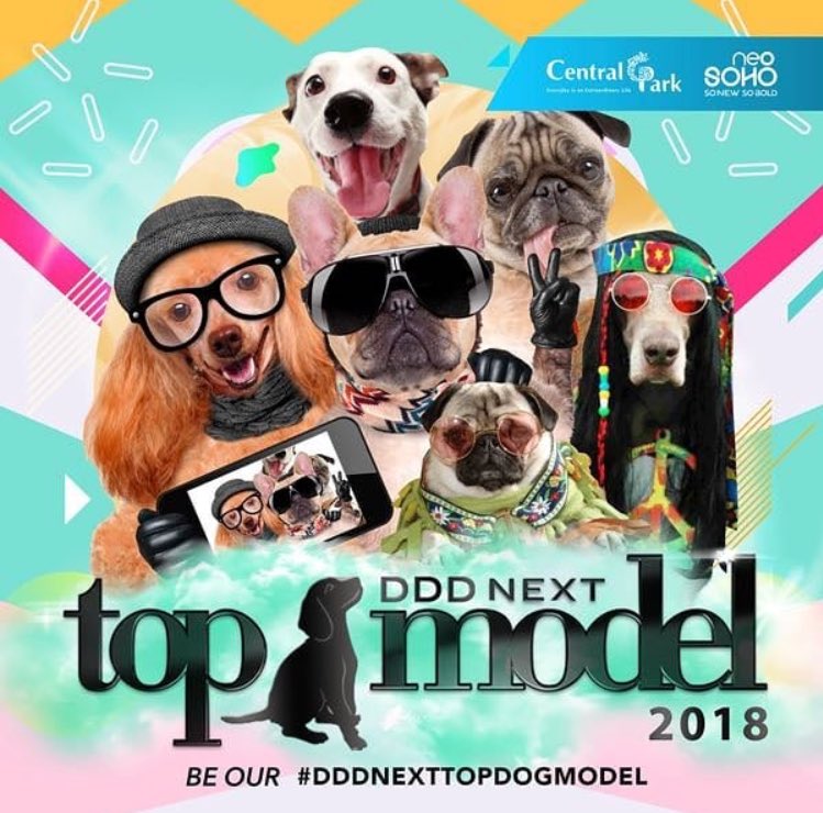 CentralParkMall's tweet photo. DOG DOES DISCO NEXT TOP DOG MODEL!
Instagram Dog Photo Competition
5 - 12 May 2018
.
HOW TO JOIN?
1. Upload your dog photo with boho chic outfit / millenials style on INSTAGRAM.
2. Mention @centralparkmall with hashtag #DDDnextTopDogModel and #DogDoesDisco2018. https://t.co/lBCXGmAKH1