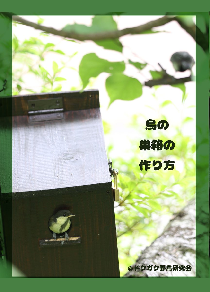 ট ইট র ドクガク野鳥研究会 コミティア配布本 鳥の巣箱の作り方 公開します ট ইট র ドクガク野鳥研究会 コミティア配布本 鳥の巣箱の作り方 公開します