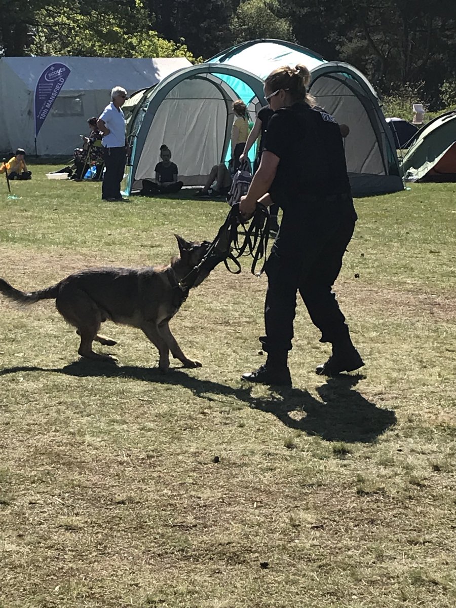 Molly Kent tweet media