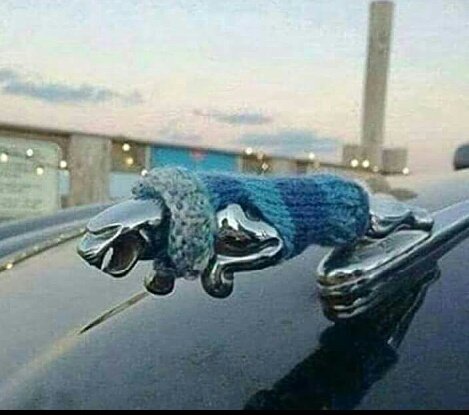 _Makmende's tweet photo. When you drive a jaguar but you also come from Limuru
#HighClubLaunch https://t.co/pgstMk745l