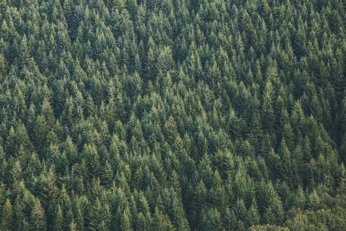 UNEP's tweet image. New study finds correlation between deforestation & local temperature rise, with particularly high increases in North America: bit.ly/2KDBu4g