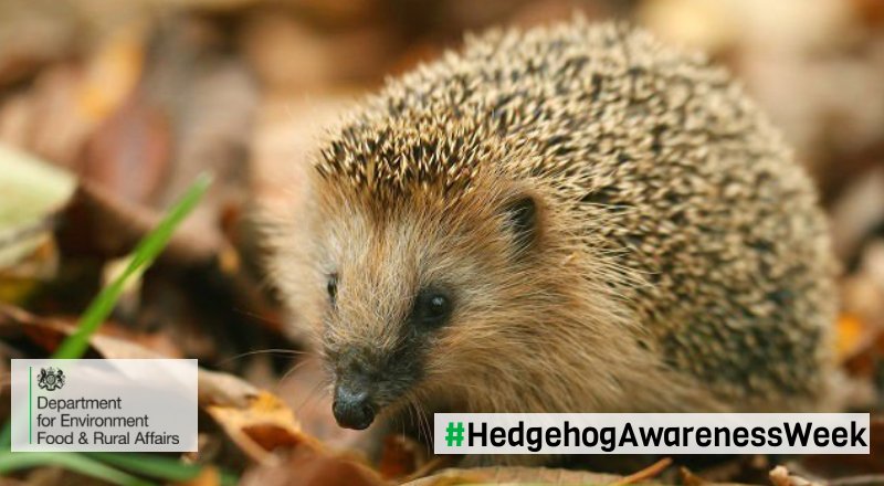 Defra UK on Twitter: Defra UK on Twitter: