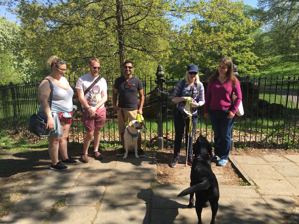 Kika_GuideDog's tweet photo. What could possibly be better than a sunny day at #Greenwich Park? Spending it with my new friends of course! Thanks to @YeOldeWolde, @toriilopatto, @Dogearedtatty, @LaurieEmTweets &amp; @blindseyeview for coming out to play! #FreeRun #SundayFunday #BankHoliday #London https://t.co/GIUmU4loWm