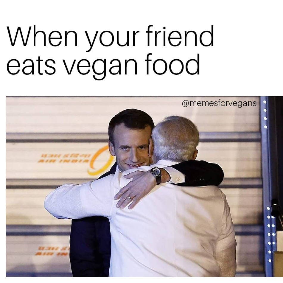 Nasimvegan's tweet photo. #Vegan #Govegan #Nasim #NasimAghdam #Meme #Memes https://t.co/3hqB5SLpKP